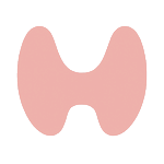 thyroid icon