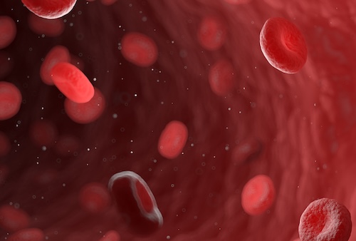 3d rendered illustration of red blood cells in a human artery